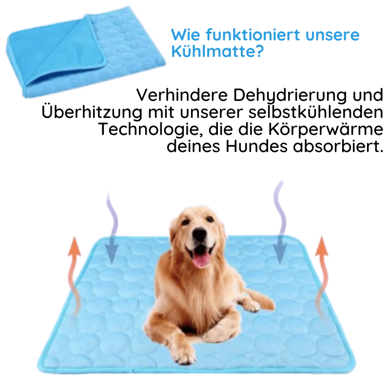 MrFluffyFriend – Die beste Kühlmatte für Hunde