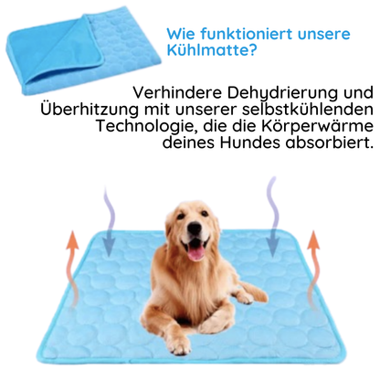 MrFluffyFriend – Die beste Kühlmatte für Hunde
