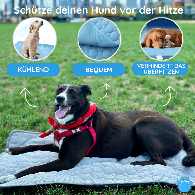 MrFluffyFriend – Die beste Kühlmatte für Hunde