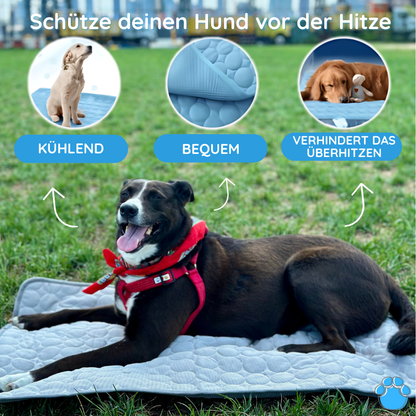 MrFluffyFriend – Die beste Kühlmatte für Hunde
