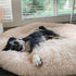 MrFluffyFriend® - Das beste Anti-Angst Hundebett (Test "animated prod image")