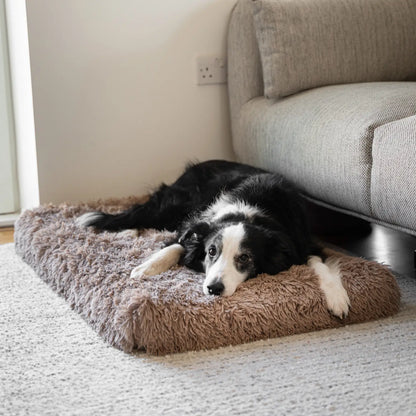 MrFluffyFriend – Waschbares orthopädisches Hundekissen