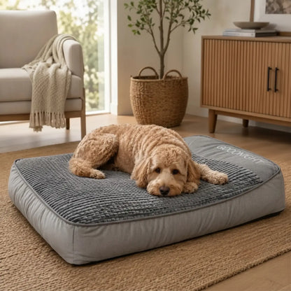MrFluffyFriend® - Beruhigendes Hundekissen